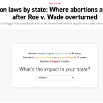  Americans Protest Against Making Abortion Illegal after Supreme Court overturned Roe v. Wade